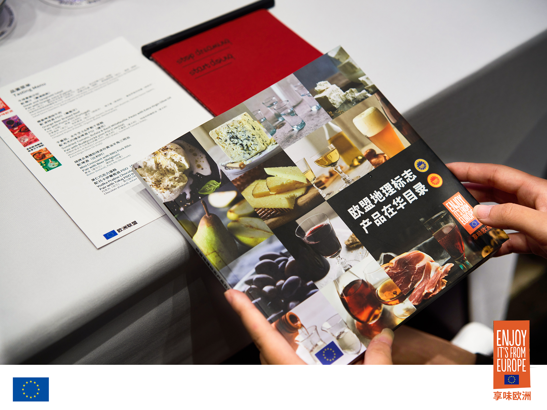 Brochure of EU products, in Chinese